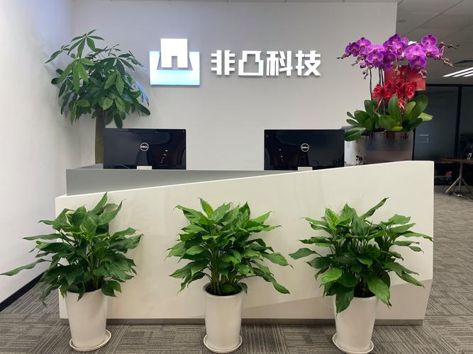 上海非凸智能科技